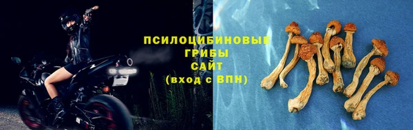 mdpv Балахна
