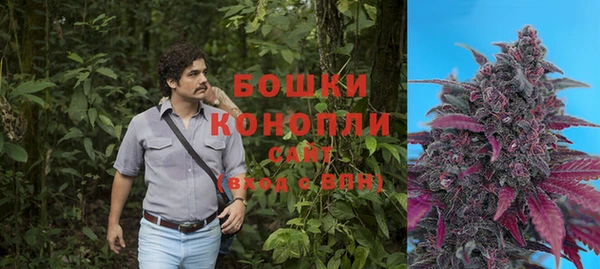 прущая мука Осташков