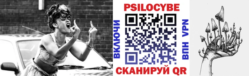 Галлюциногенные грибы Psilocybe  Шилка 